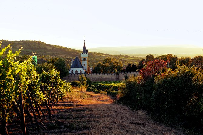 Rhine Valley Wine Tasting Tour from Frankfurt and Mainz - Is the $476.68 price fair?