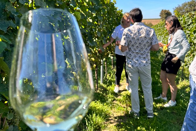 Rhine Valley Wine Tasting Tour from Frankfurt and Mainz - Practical details for a smoother day