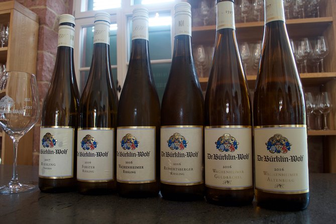 Rhine Valley Wine Tasting Tour from Frankfurt and Mainz - The Rhine, Rüdesheim, and old wine villages