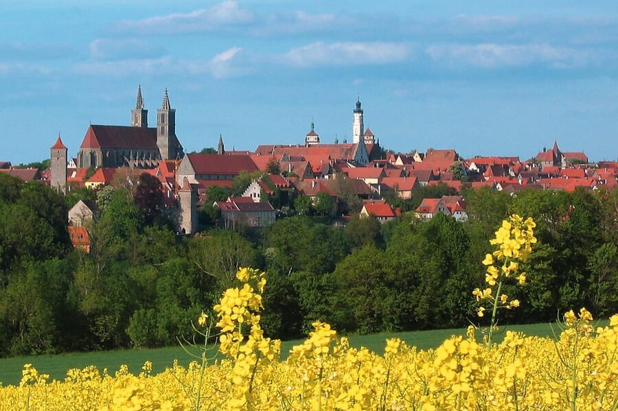 Romantic Road & Rothenburg ob der Tauber Tour from Würzburg - The return to Würzburg and the Residence option