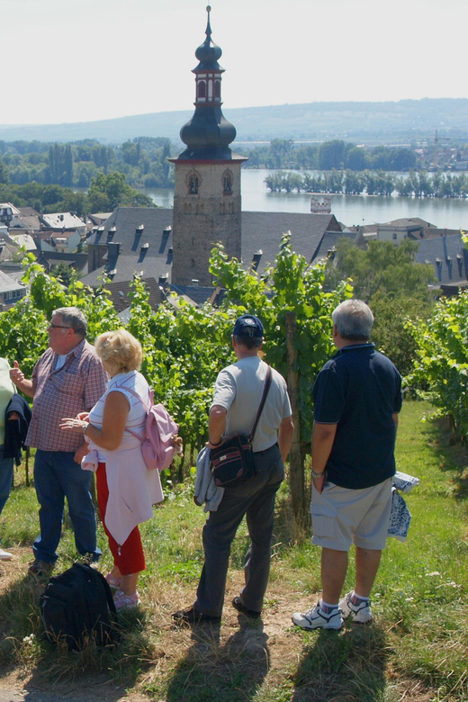 Rüdesheim am Rhein: city tour - History and legendary stories in German