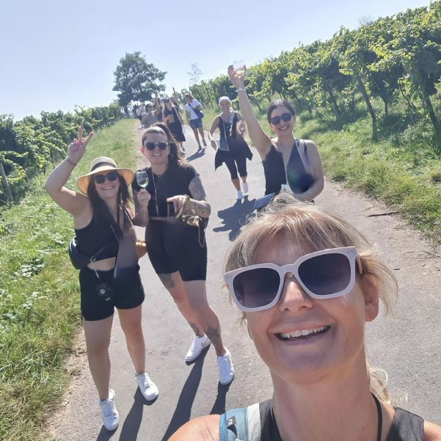 Rüdesheim am Rhein: wine hike and sights - Key points at a glance