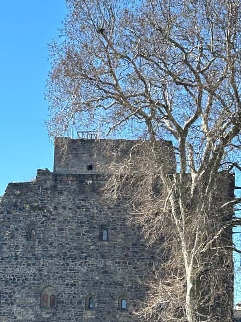 Rüdesheim: city tour with music and wine and Rüdesheim coffee - What the $39 price really buys you
