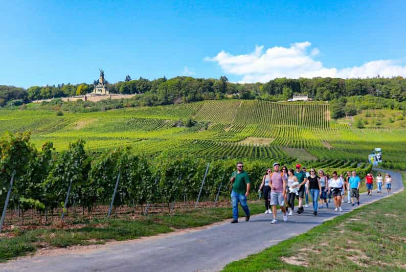 Rüdesheim - Guided wine hikes with 4wines and cable car ride - Key points to know before booking