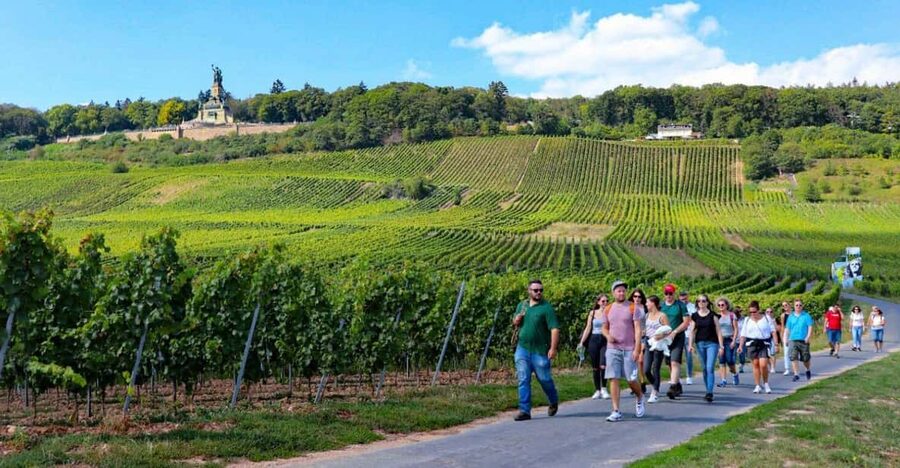 Rüdesheim - Guided wine hikes with 4wines and cable car ride - Walking three kilometers through Rüdesheim wine country