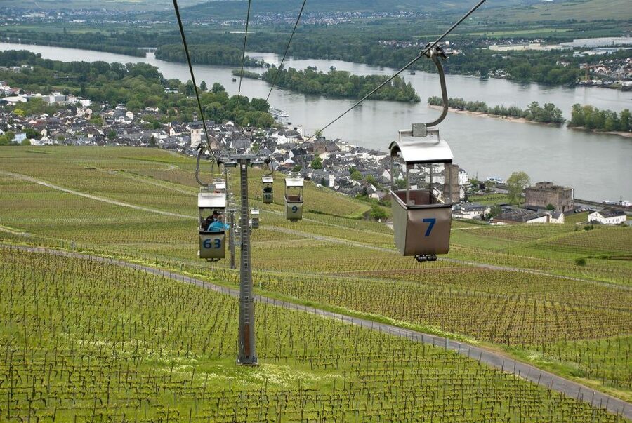 Rüdesheim: Private Guided Walking Tour - Wine heritage in the town center