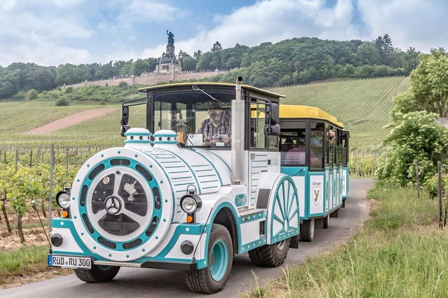 Rüdesheim sightseeing tour with the Winzerexpress - The Vineyard Route Is The Scenic Payoff