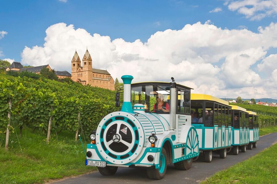 Rüdesheim sightseeing tour with the Winzerexpress - Is $22 Good Value For 30 Minutes?