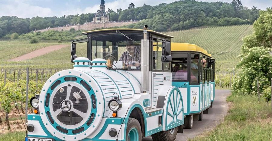 Rüdesheim sightseeing tour with the Winzerexpress - Final Verdict: Book It For Views, Not A Full Monument Tour