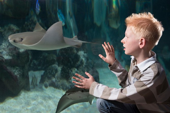 SEA LIFE Hannover Ticket - Entering the Tropical Rainforest
