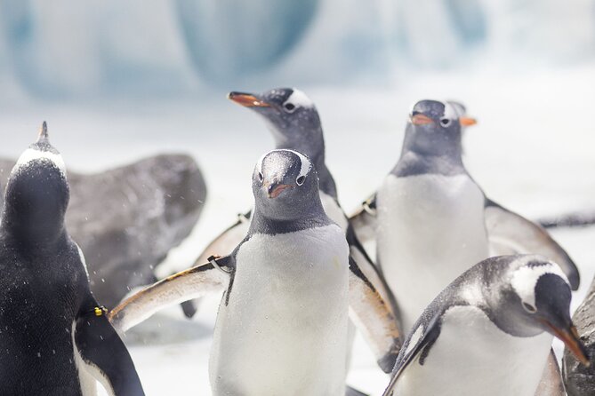 SEA LIFE Konstanz Admission Ticket - Key points to know before you go