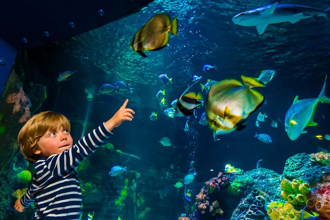 SEA LIFE Konstanz Admission Ticket - From Lake Constance to the North Sea