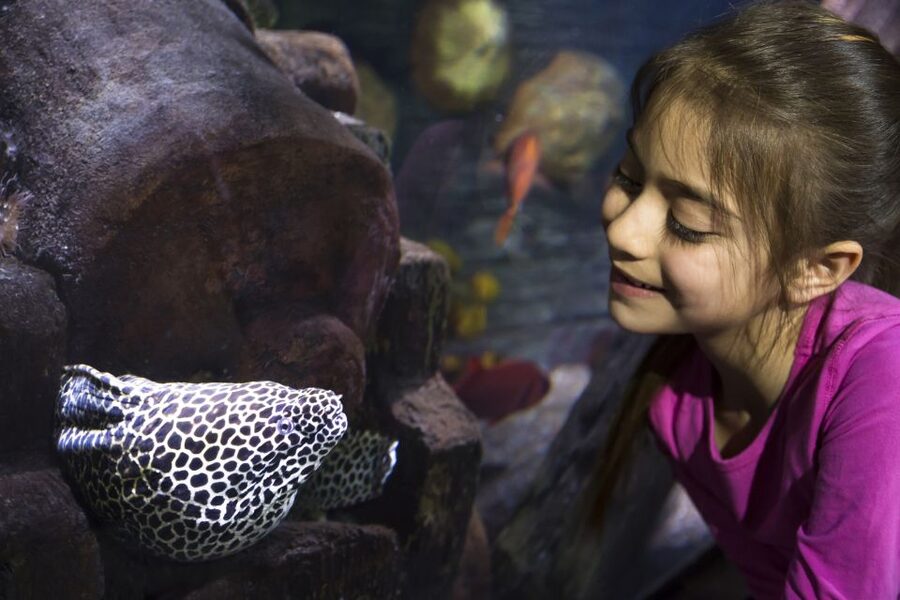 Sea Life Speyer Ticket - How long the visit really takes