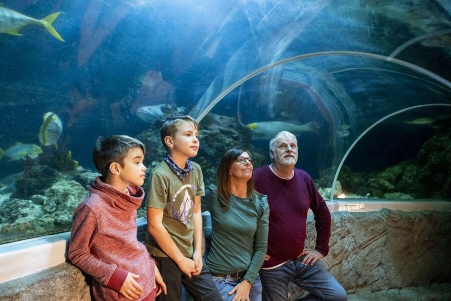 Sea Life Speyer Ticket - The outdoor pond turtles show conservation close to home