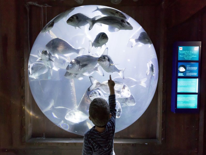 Sea Life Speyer Ticket - Activities are aimed at younger children