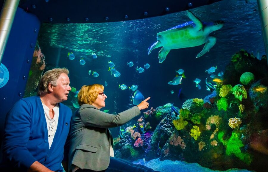 SEA LIFE Timmendorfer Strand Ticket - Starting beside the Baltic Sea in Timmendorfer Strand