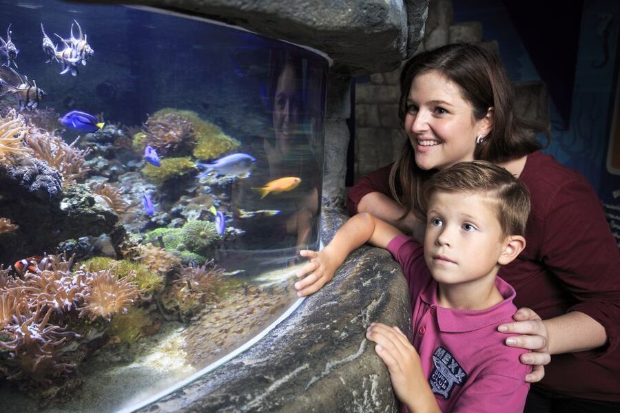 SEA LIFE Timmendorfer Strand Ticket - Why the conservation message matters