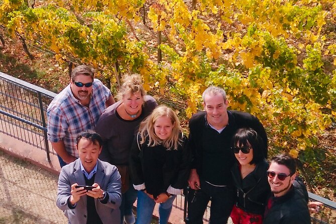 Small Group Rheingau Vineyards Tour with Castles and Abbeys - The family-run estate and six more wines