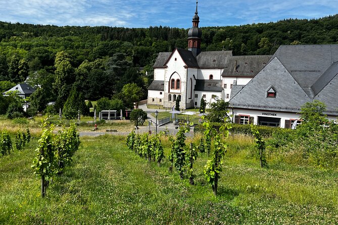 Small Group Rheingau Vineyards Tour with Castles and Abbeys - Practical details before you book