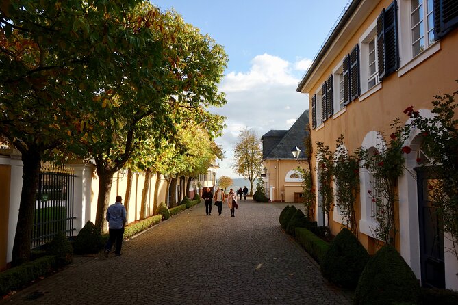 Small Group Rheingau Vineyards Tour with Castles and Abbeys - Johannisberg Palace from the road