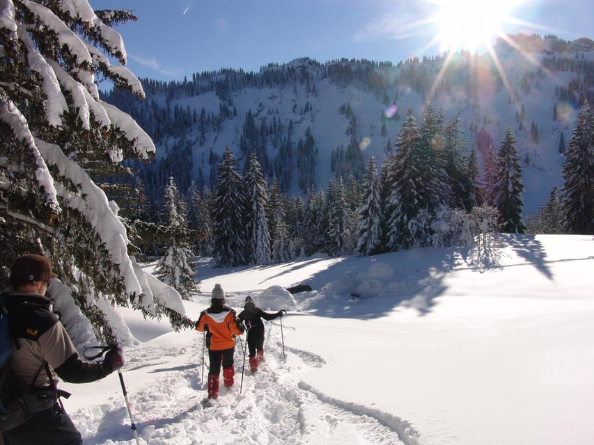 Snowshoe hike in the Allgäu - Key points to know before you book