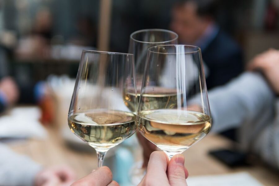 Stuttgart: Guided Vineyards Tour - Practical advice for a better afternoon