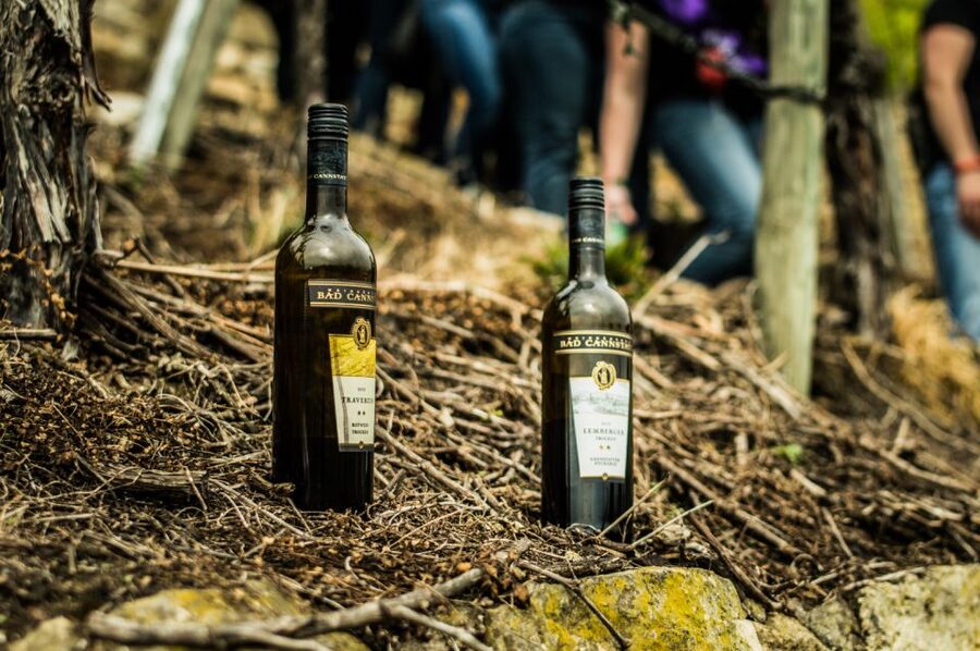Stuttgart: Guided Vineyards Tour - The views over Bad Cannstatt and the Neckar