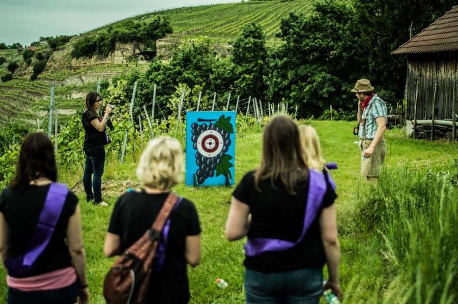 Stuttgart: Guided Vineyards Tour - Why the wine games matter