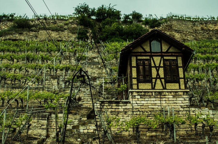 Stuttgart: Guided Vineyards Tour - What the three-and-a-half-hour schedule feels like