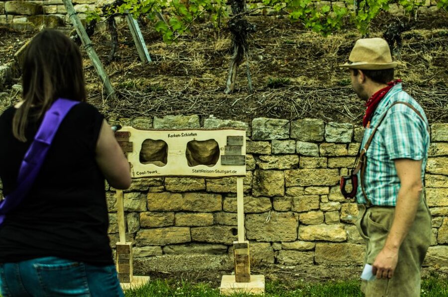 Stuttgart: Guided Vineyards Tour - Price and group size: where the value changes