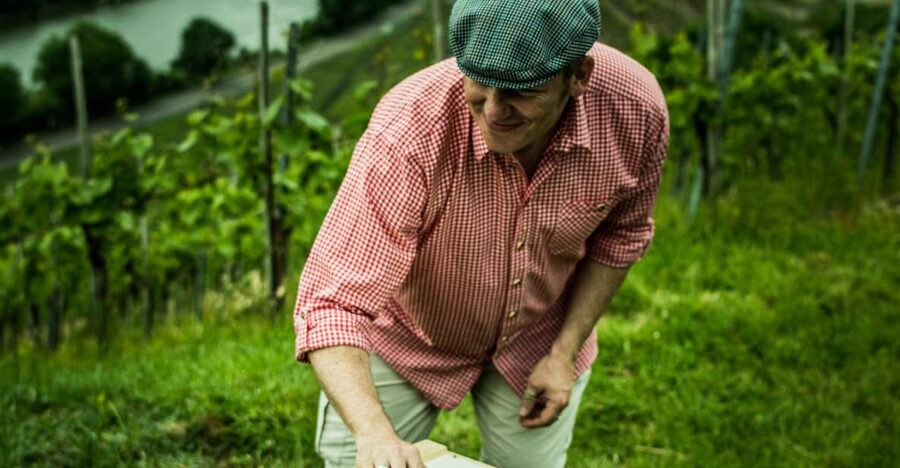 Stuttgart: Guided Vineyards Tour - Who will enjoy this outing most