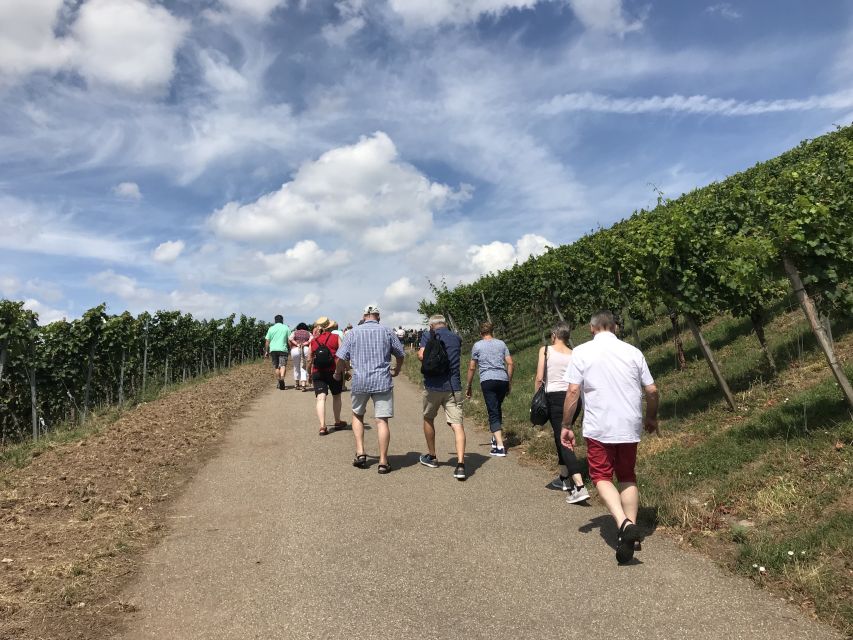 Stuttgart: Guided Wine Walk & Wine Tasting - Final verdict: book it for the setting, not just the wine