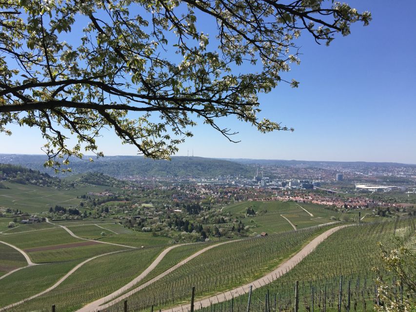 Stuttgart: Guided Wine Walk & Wine Tasting - Two tastings that connect wine to place