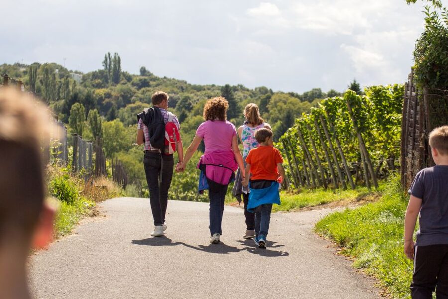 Stuttgart Nature Experience Day - Solving puzzles through Stuttgart’s vineyards