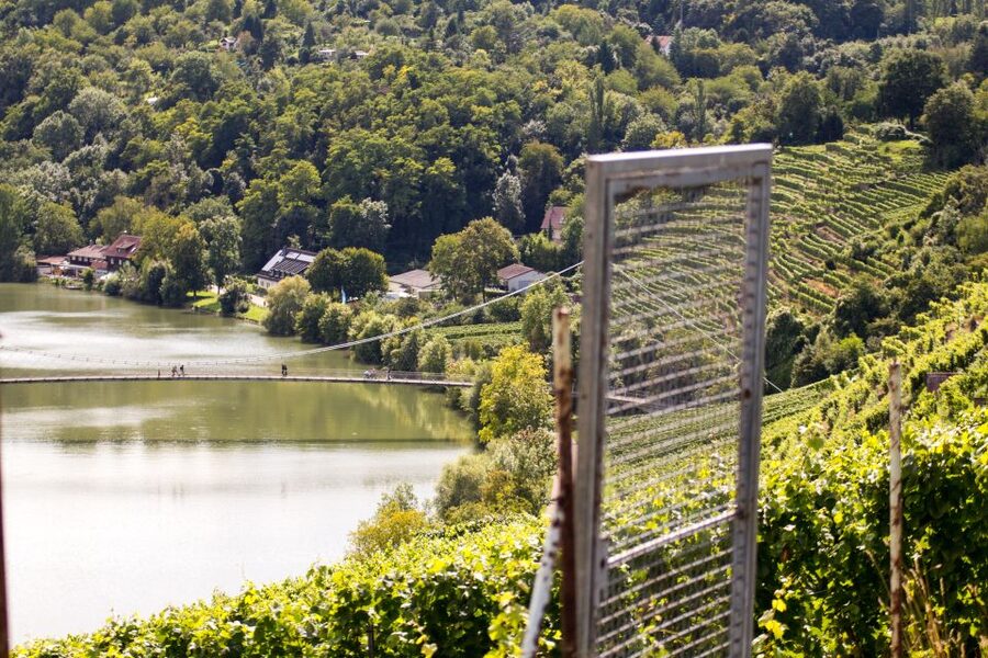 Stuttgart Nature Experience Day - Should you book the Stuttgart Nature Experience Day?