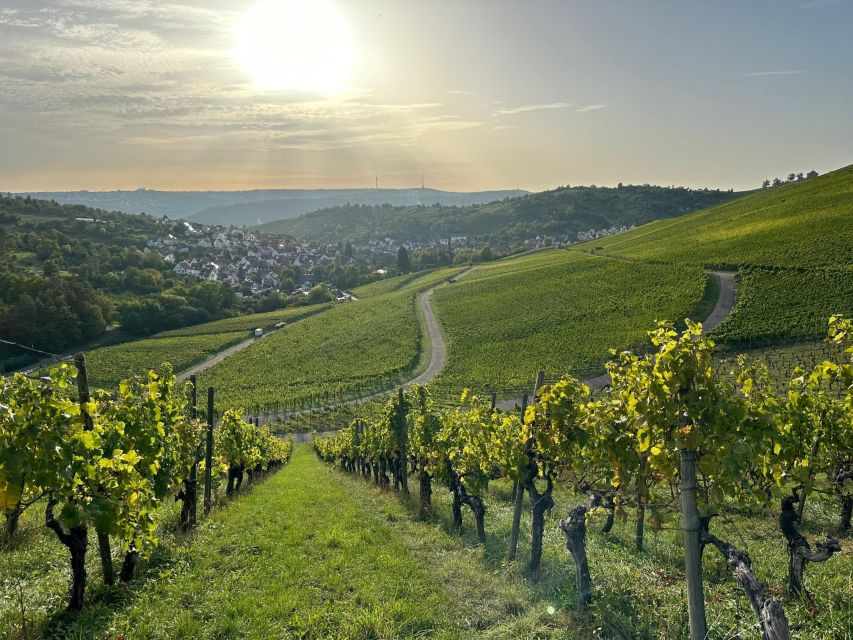Stuttgart: Sparkling Wine Tour - Why Stuttgart’s Vineyards Make This Tour Different