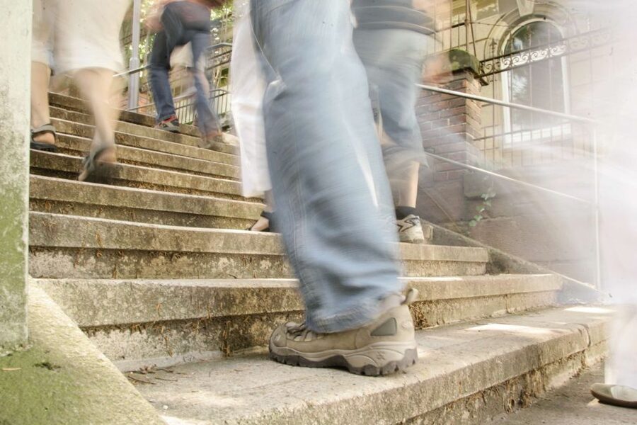 Stuttgart: Stäffele Guided Walking Tour - What the guide adds to the climb