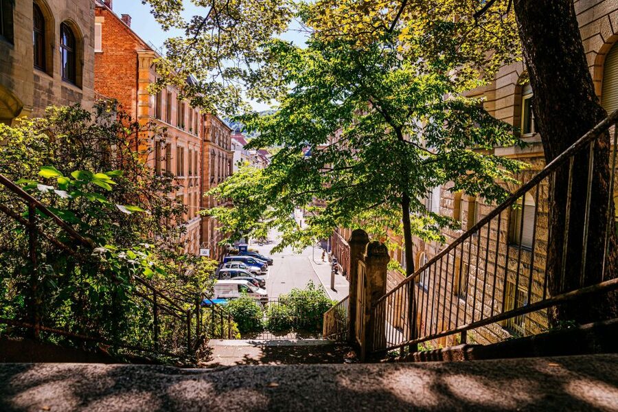 Stuttgart: Stäffele Guided Walking Tour - The North route: vineyards, towers, and hillside homes