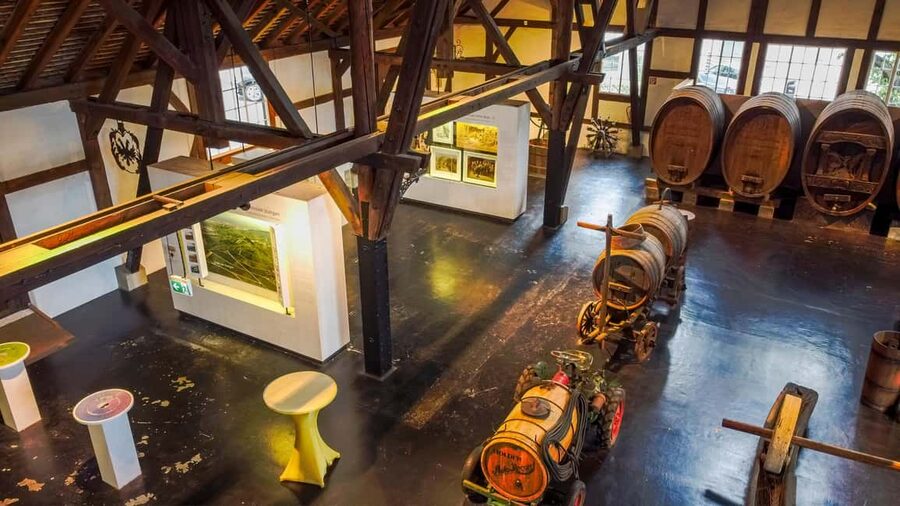 Stuttgart: Stuttgart Wine Museum Wine Tasting - Language, access, and age limits