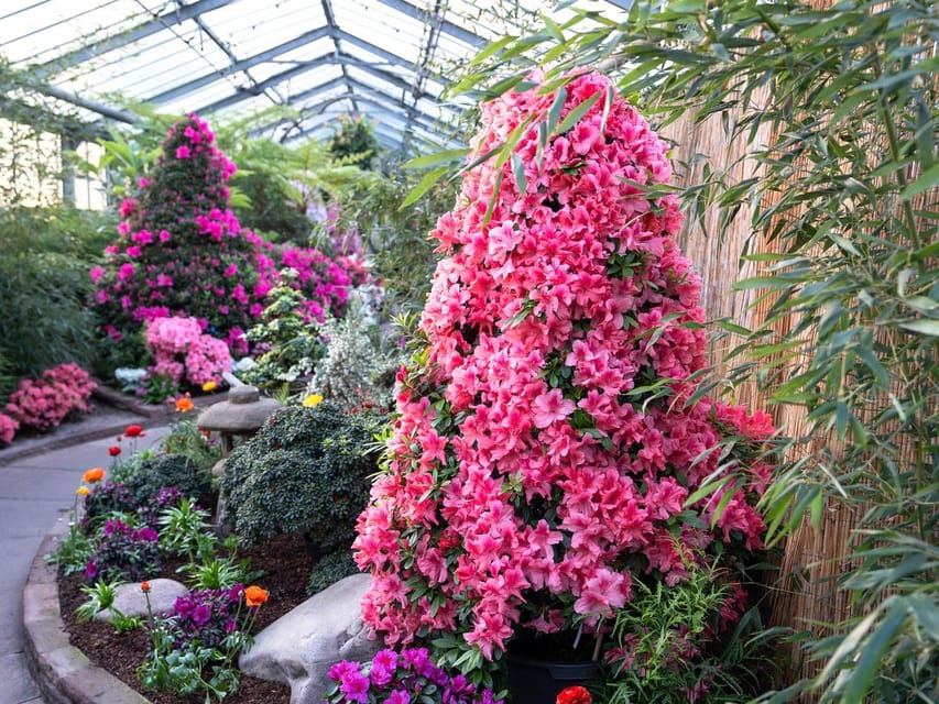 Stuttgart: Wilhelma Zoological-Botanical Garden Ticket - Practical Rules and Access