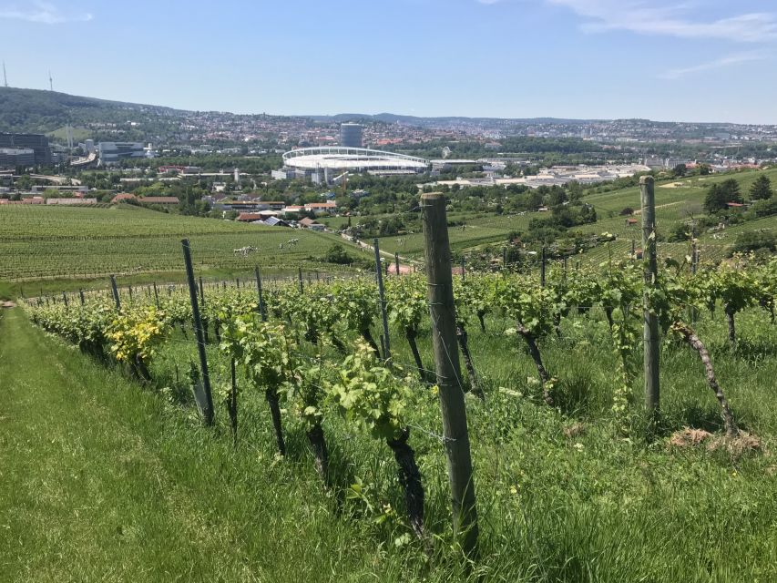 Stuttgart: Wine Tour with wines of the best winemakers - Key points to know before booking