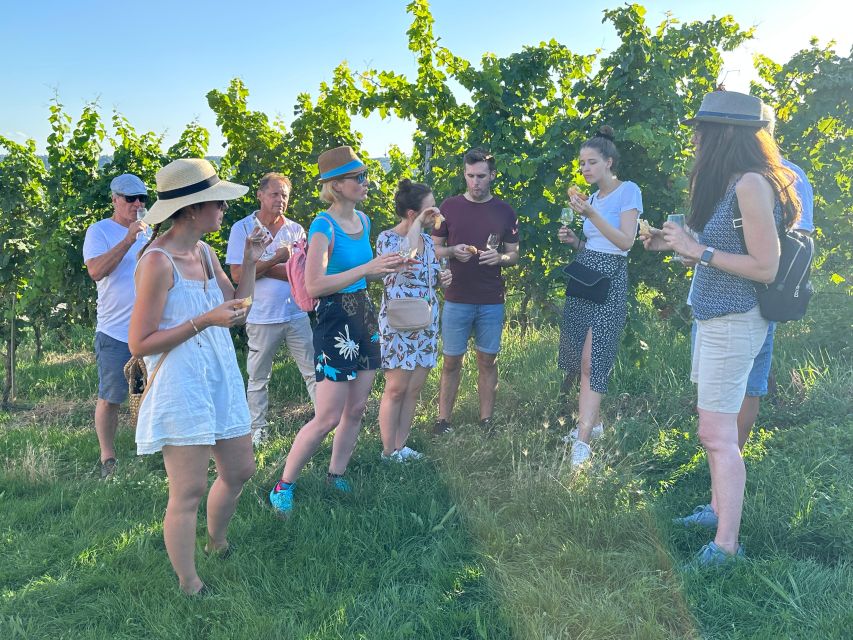 Stuttgart: Wine Tour with wines of the best winemakers - FAQ