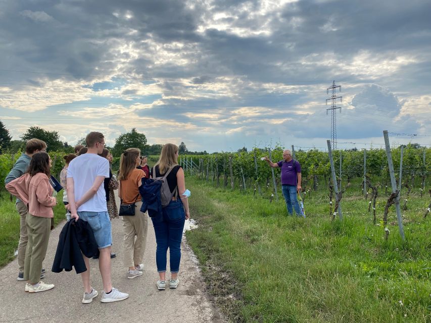 Stuttgart: Wine Tour with wines of the best winemakers - Why the Herzogenberg setting makes this tour different