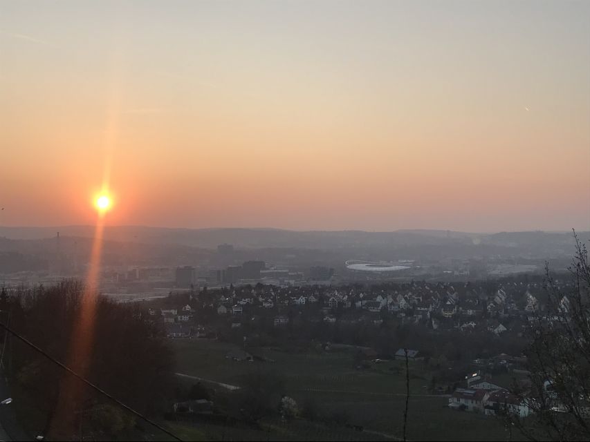 Stuttgart: Wine Tour with wines of the best winemakers - Learning how Stuttgart wine is made