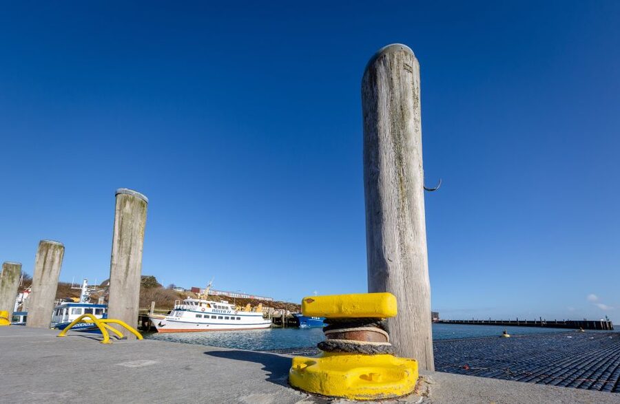 Sylt: Guided Island Tour by Bus with Sylt Highlights - Key points at a glance