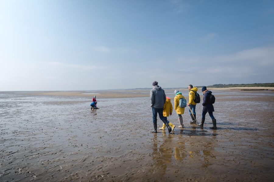 Sylt: Guided Mudflat Hike on the Island - Key Things to Know Before You Go