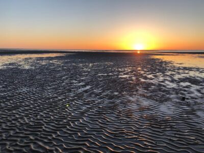 Sylt: Guided Mudflat Hike on the Island