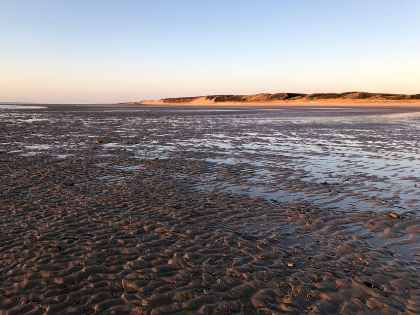 Sylt: Guided Mudflat Hike on the Island - Should You Book the Sylt Mudflat Hike?