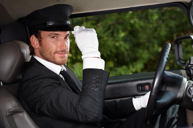 The Best Private Berlin Tour with a Car, Tour Guide and Pick up - The guides and drivers make the difference