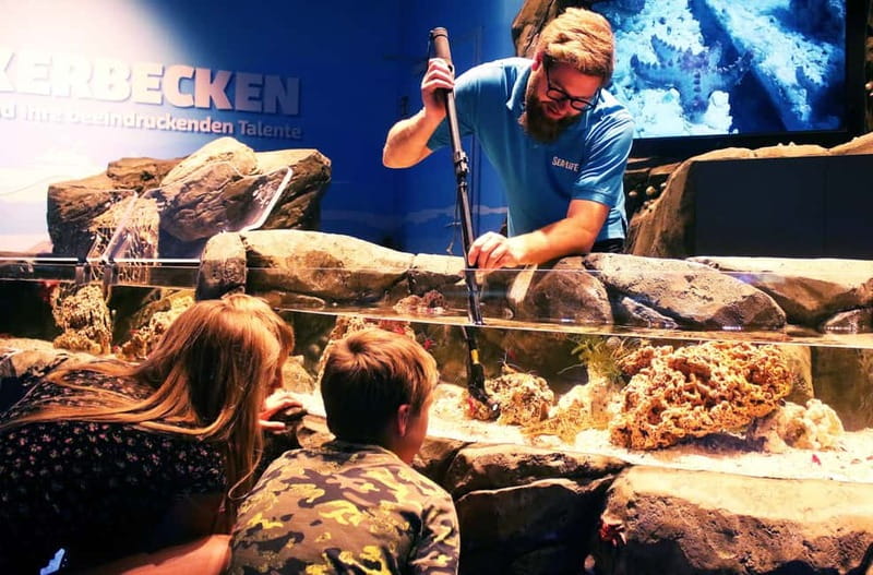 Ticket to SEA LIFE Konstanz - Watching the gentoo penguins in Antarctica